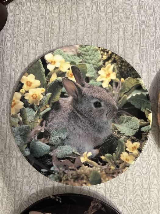 Декоративни порцеланови чинии – лимитирана серия