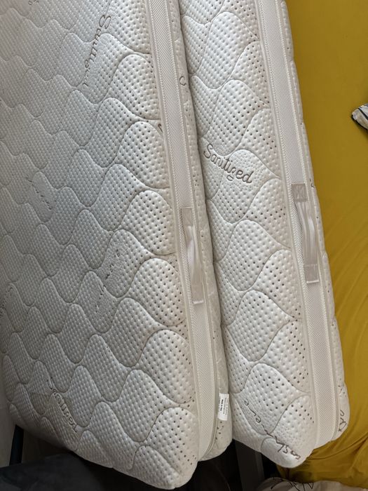 Saltele in stare buna