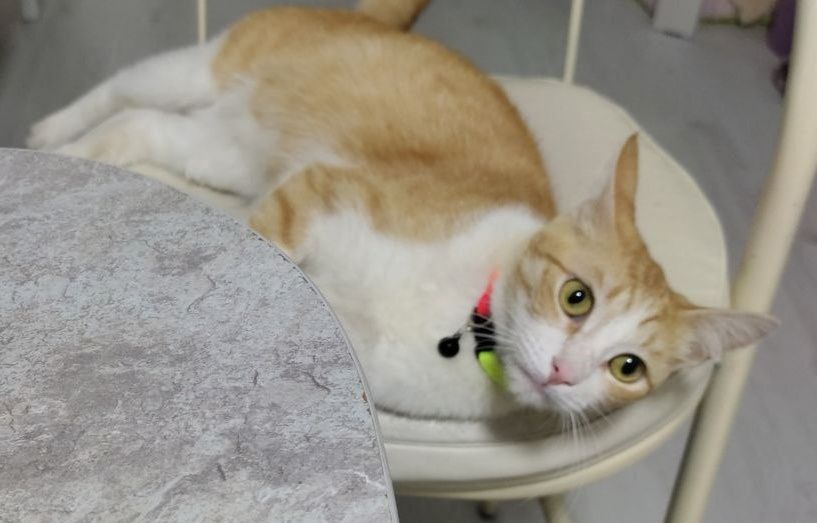 За вознаграждение