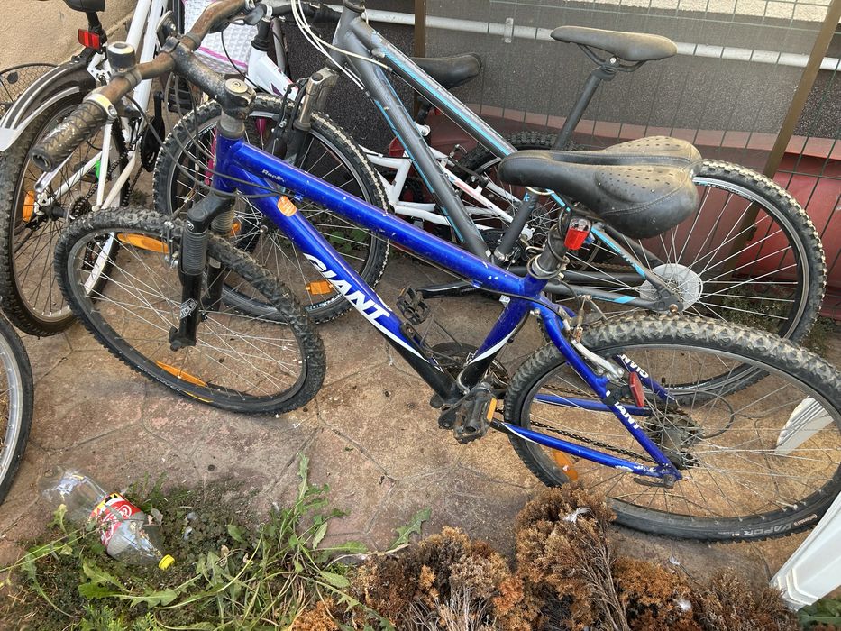 Vand biciclete Giant