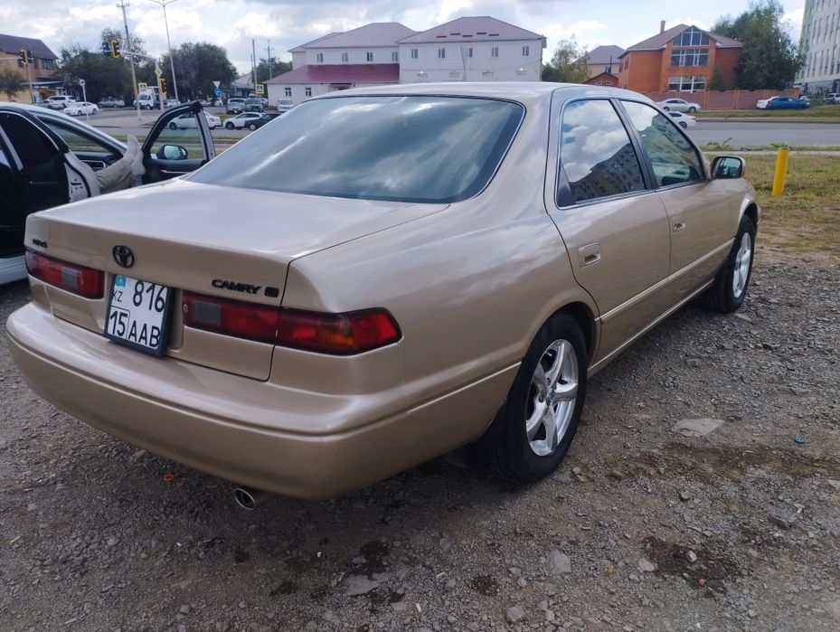 Продам живого Легенду