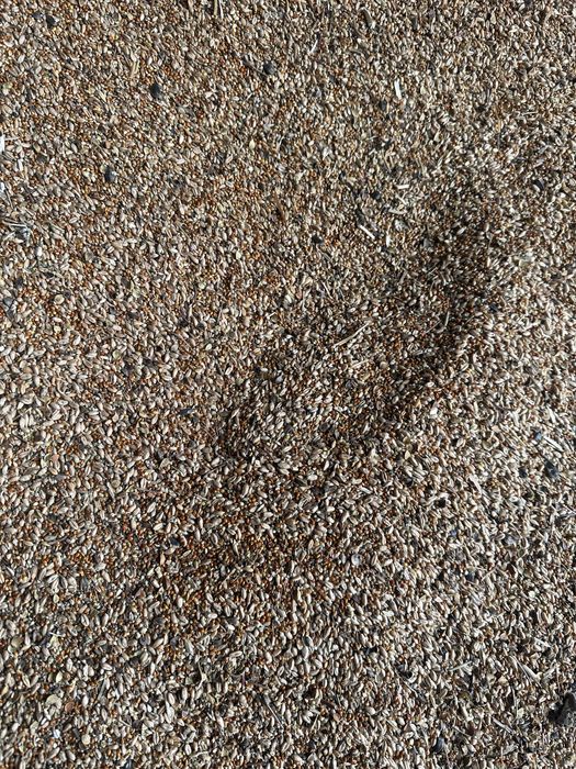 Продам зерновые отходы.