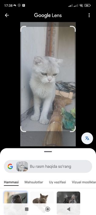 Kotiba uni eshakda beradi