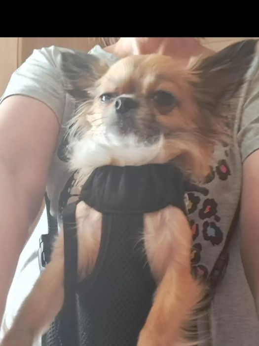 Рюкзак переноска