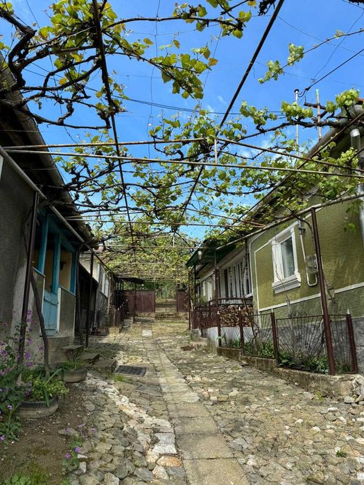Casă de vacanta la țară