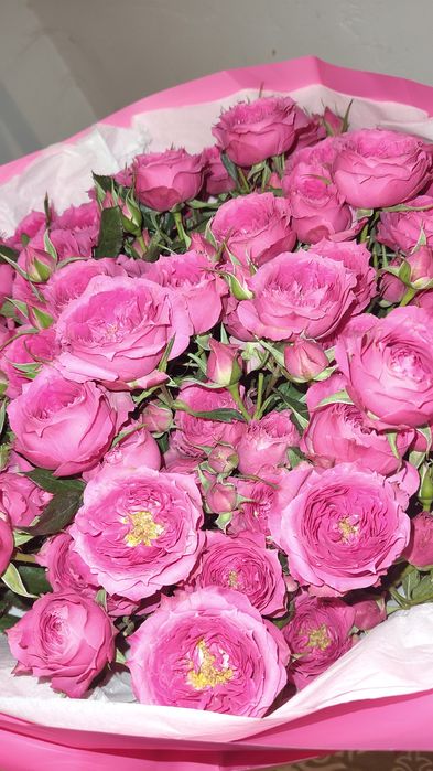 Гүл сатамын арзан бағаға. Продам цветы