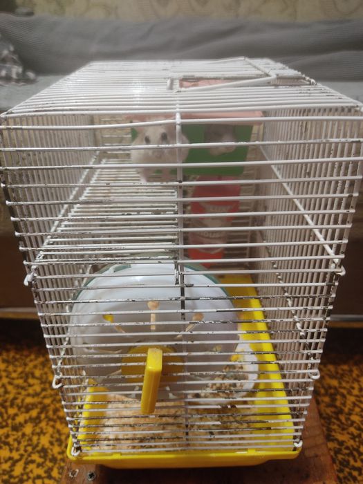 Клетка для хомяков