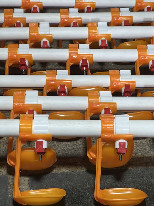 Непилни поилка шутучни и канплект