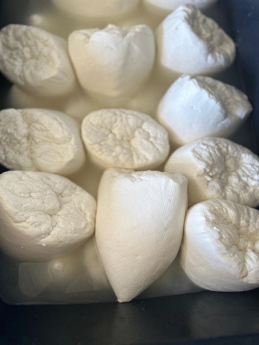 Branza de capra fara niciun amestesc Cantitati mari