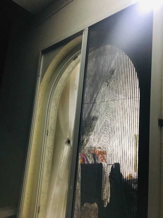 Все виды Маскидний сетки