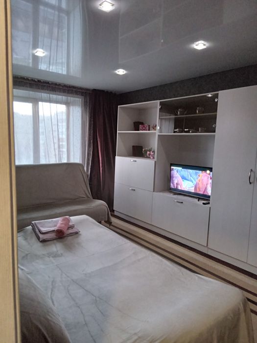 1,5ка посуточно в центре