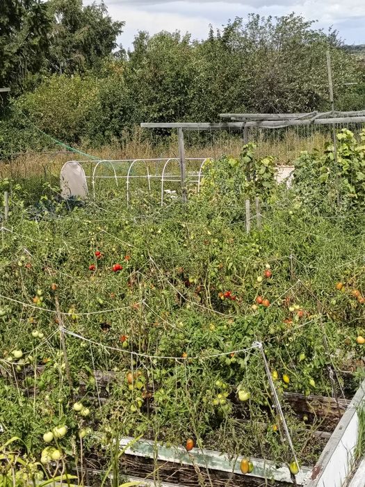 Продаю дачу Строитель 1