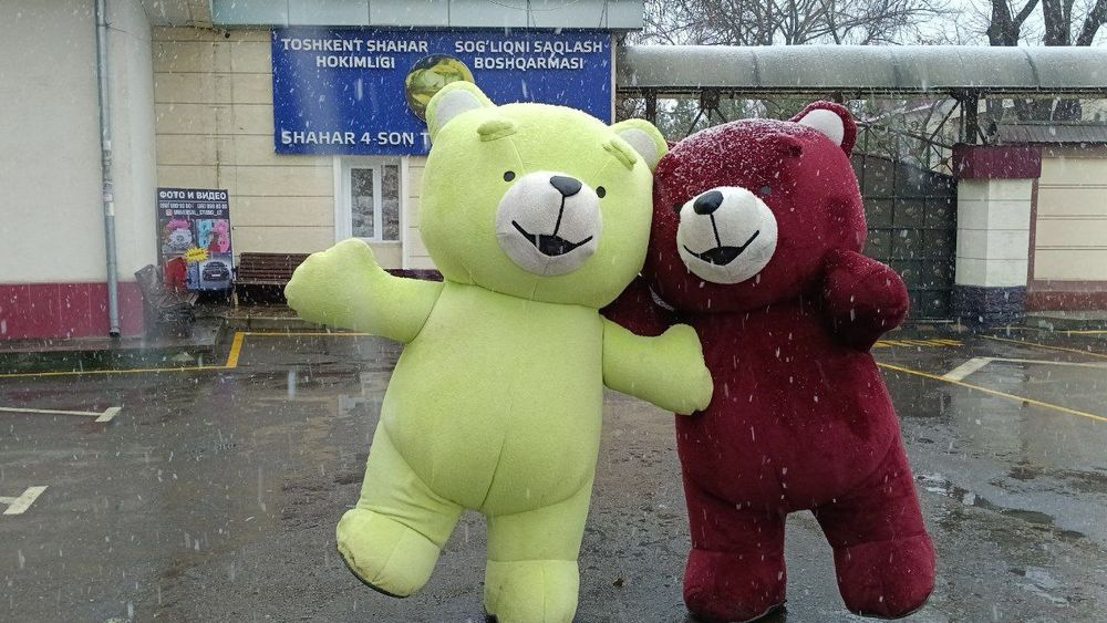 Havoli Teddy ayiqlari