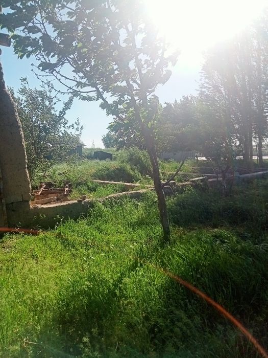 Yer sotiladi 7 sotix