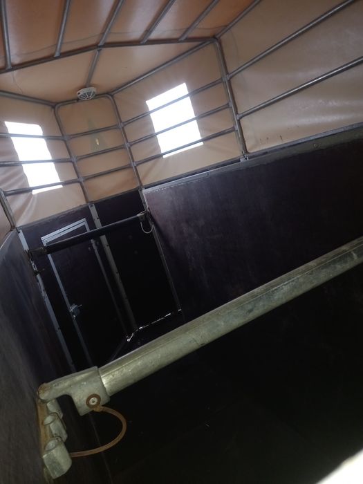 Remorca de cai 2000 kg