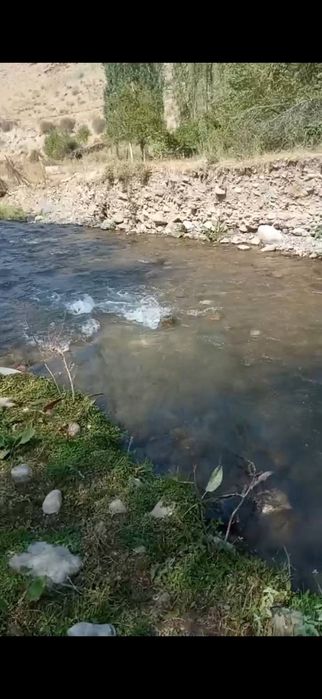 Uchastka zominda sotiladi