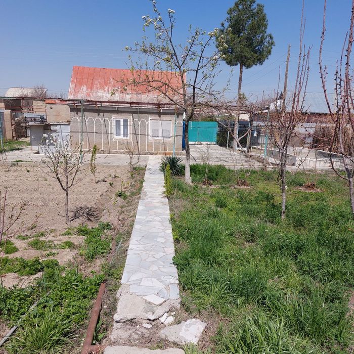 Дала ховли сотилади