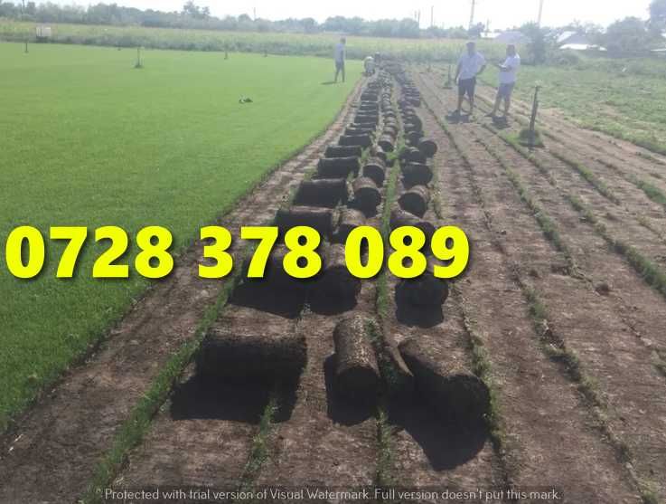 Rulouri de gazon plus Montaj !