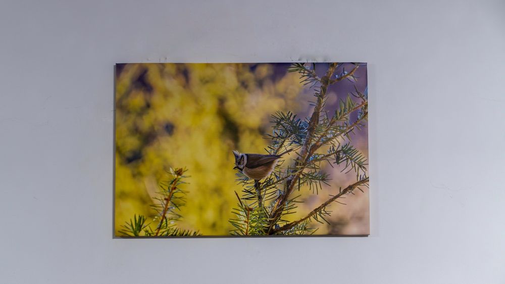 Tablou natura 70x50
