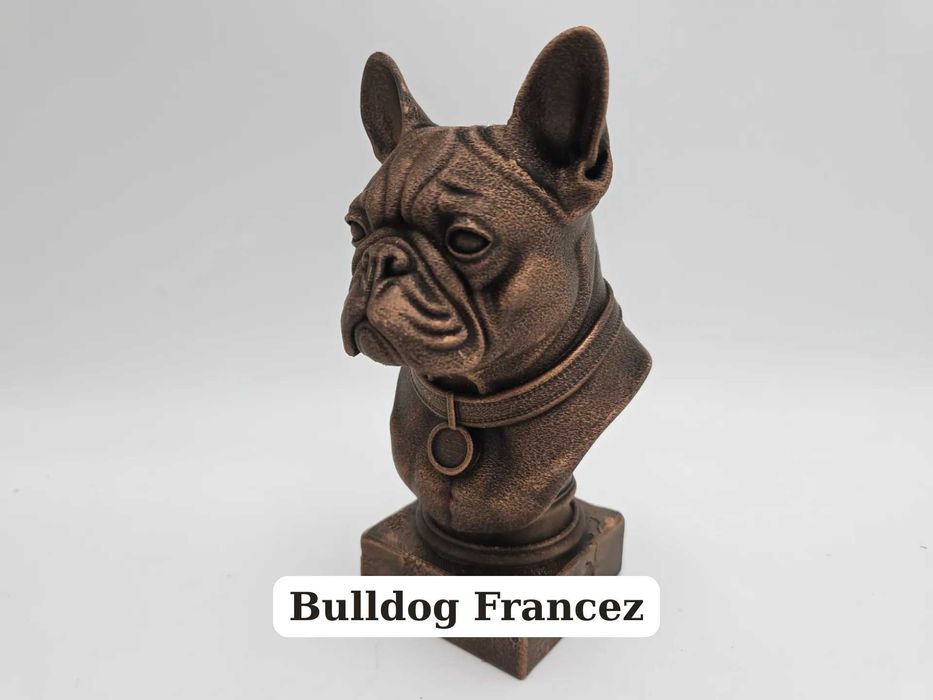 Busturi Canine 3D Personalizate