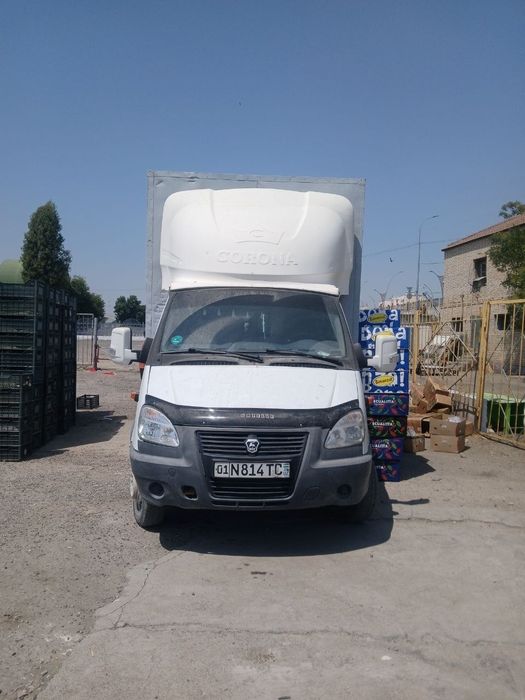 Gazel super stekr