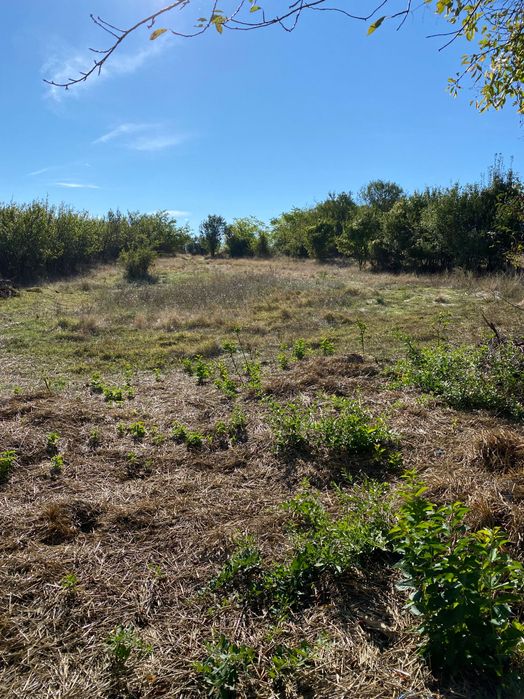 Продава се Къща в Провадия - 67 кв.м за 457 €/кв.м - Снимка #7