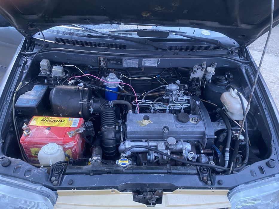 Mutsibutsi  speswogn