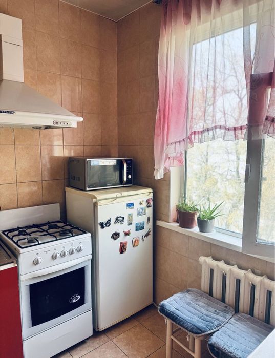 2/5/5 Максим горький Художник