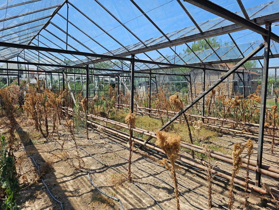 Продава се стъклена оранжерия