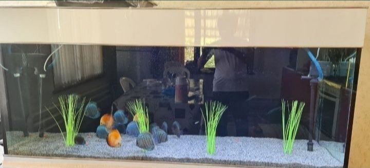 Кварцевый камень Речной ГАЛЬКА для аквариума