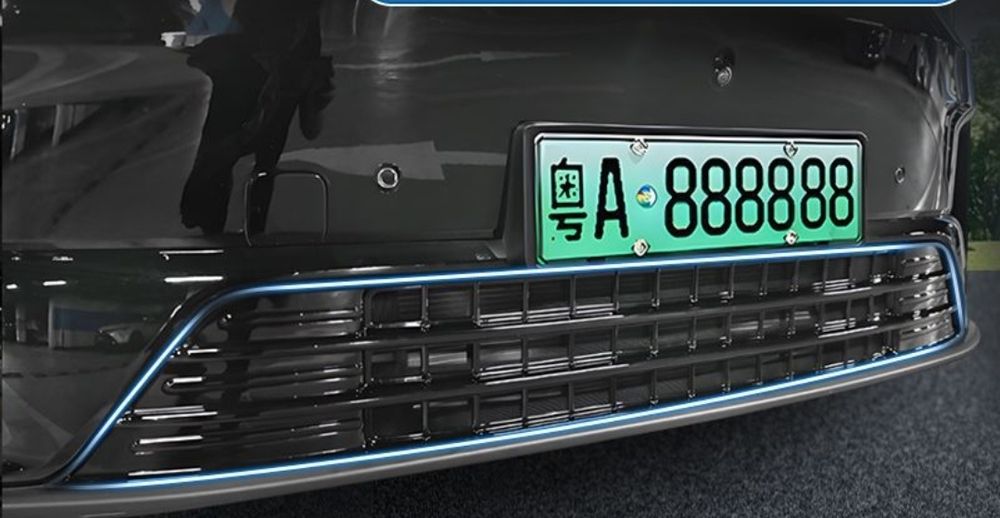 Leapmotor C10-с16  радиатор сетка решетка