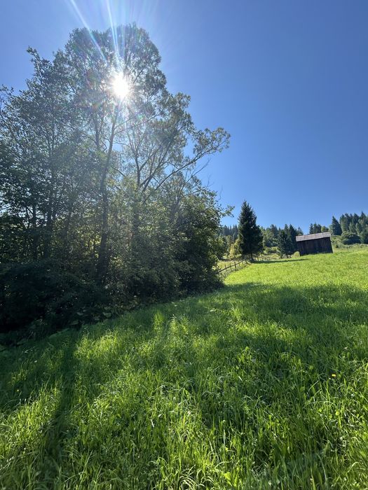 Teren extravilan Valea Caselor