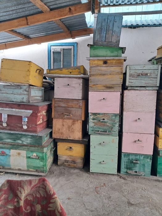 Продам улики для пчел!