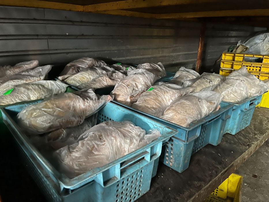 Продам мясо гуся оптом