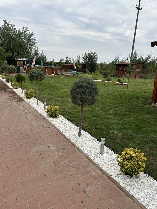 Amenajari gradini / Plante gard viu