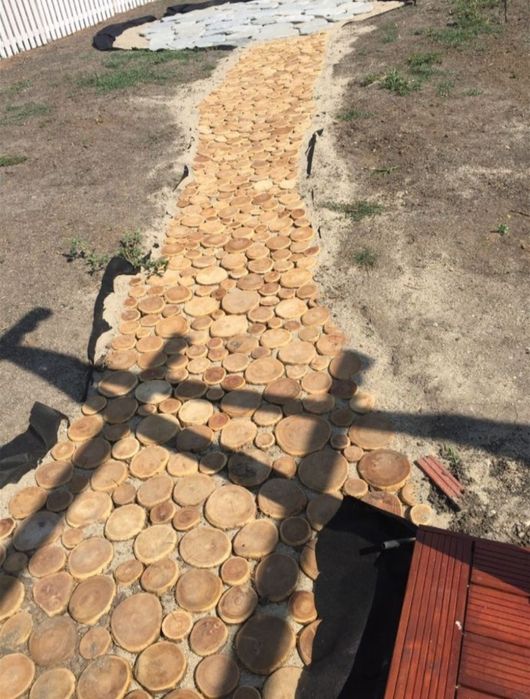 Mesteacan decorativ / Trunchiuri decor mesteacan / Rondele mesteacan