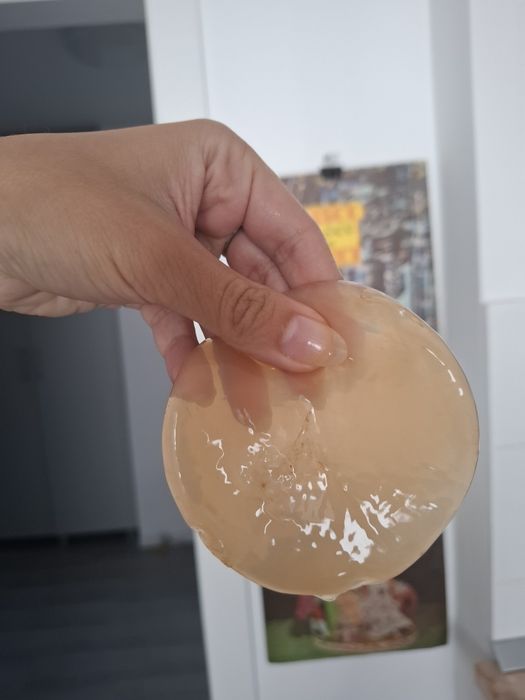 Ciupercă (SCOBY) Kombucha + ceai starter