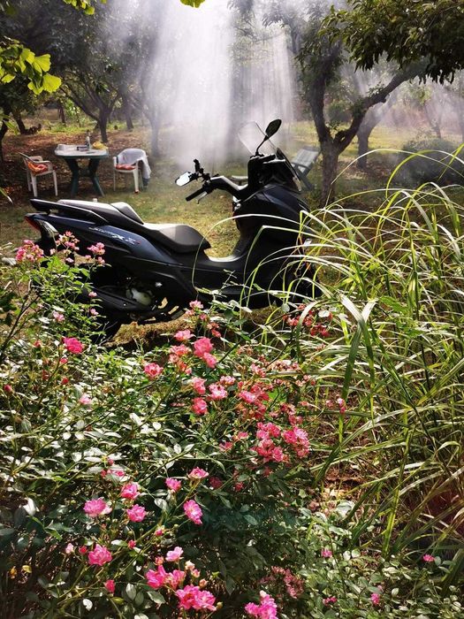 Maxi Scuter SYM Joymax Z+ 250 cc | Istoric Service | 43.000 Km | 2022