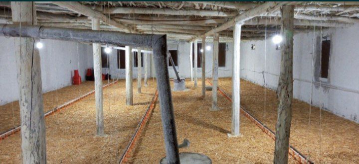 Uy-joy, tovuqxona sotiladi 5.5 sotix hamma sharoitlari bor tovuqboqish