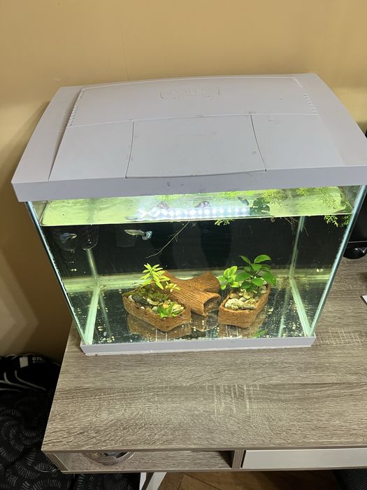 55 литров аквариум