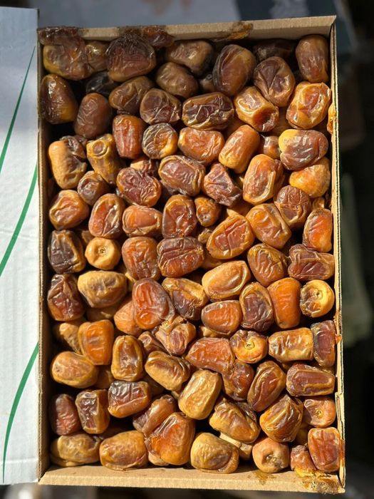 Суккари финик высший сорт