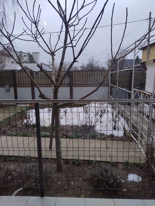 Închiriez garsonieră la curte lângă Metrou Apărătorii patriei