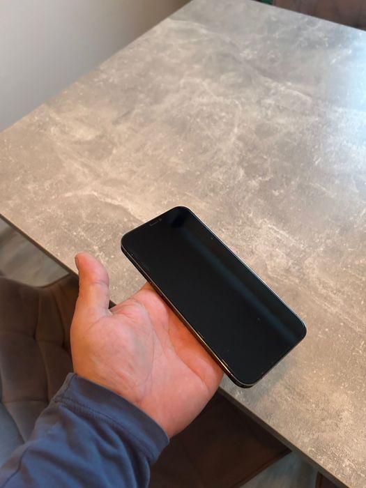 Iphine 12 pro MAX  264 g