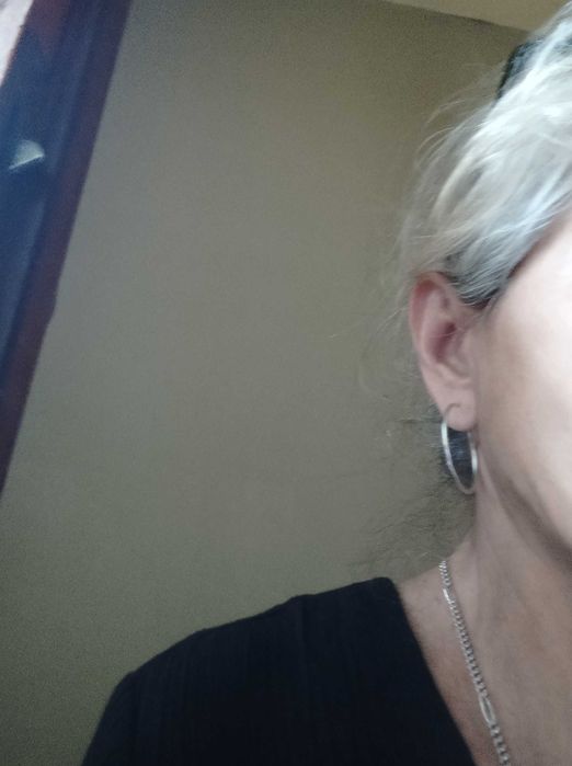 Сребърни обеци халки  50 лв