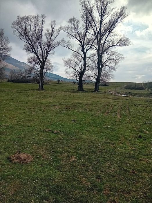 Продавам Парцел  гр. Дупница