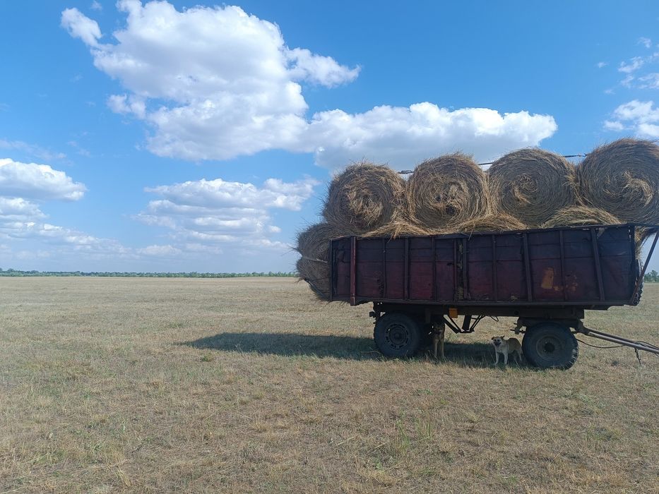 Продается сено в рулонах