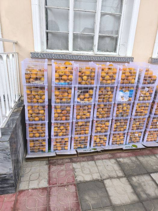 Срочно продаем для сушки опелцины приблизительно 500 кг