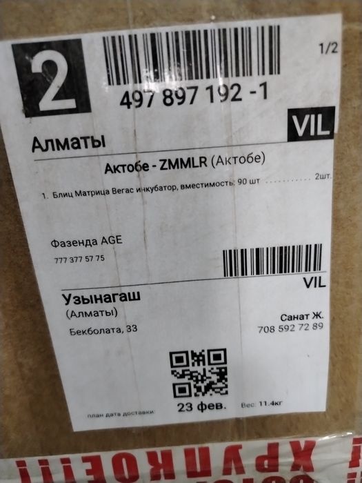 Инкубатор для яиц