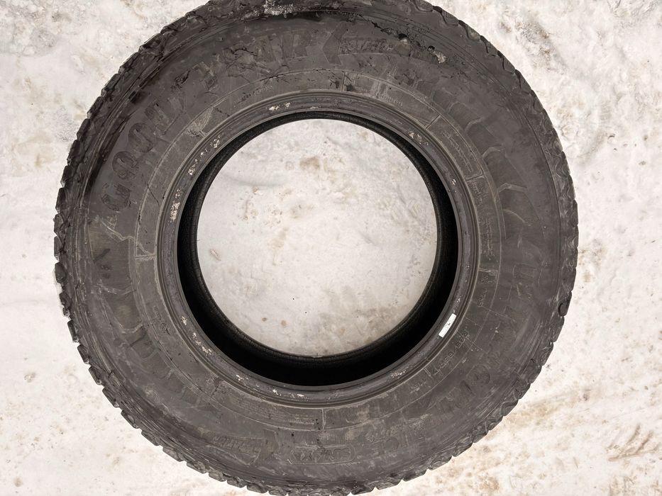 285х65х17 шины зимние