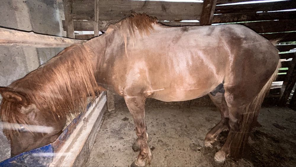 Колготки киген қыздар желіде қарттармен жыныстық қатынасқа түсуде